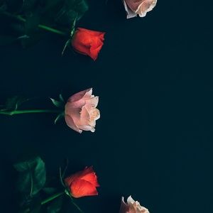 Meet your Posher, Gaby